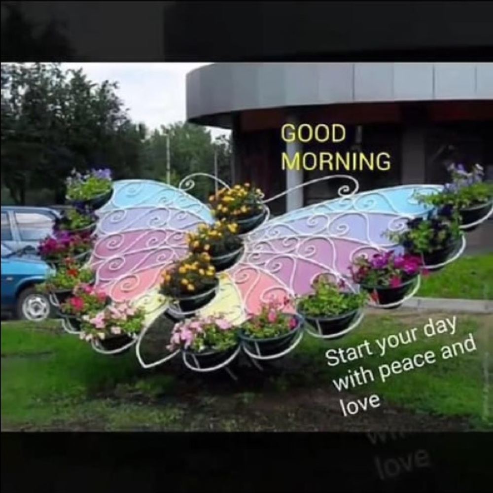 Meet your Posher, Fayola